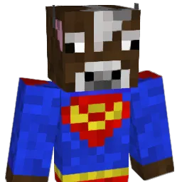 Trym69 Minecraft avatar bust
