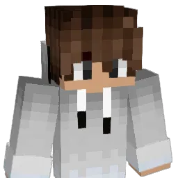 TsunAAAAAA Minecraft avatar bust