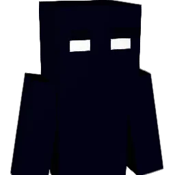 Tu_911 Minecraft avatar bust