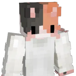TuckedInGato