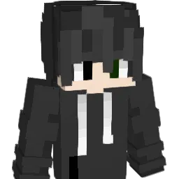 Tujgo_6 Minecraft avatar bust
