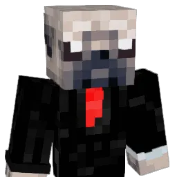 Tukker9 Minecraft avatar bust