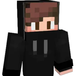 Tunkyx2 Minecraft avatar bust