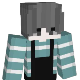 Turtle1112 Minecraft avatar bust