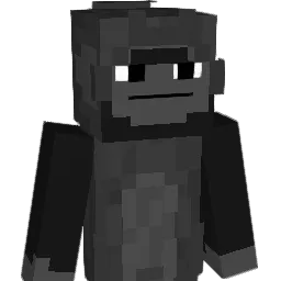 Turtle5069