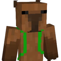 Turtle6767 Minecraft avatar bust