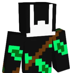 TurtleMiner12