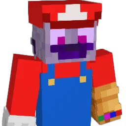 TurtleShadow37 Minecraft avatar bust