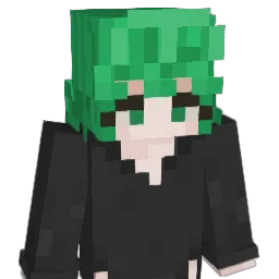 TurtleSlayer619's Minecraft skin