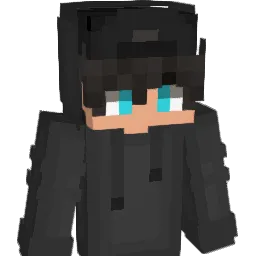 Turtleez Minecraft avatar bust