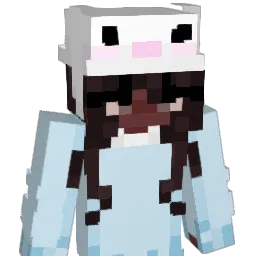 Turtlenareff Minecraft avatar bust
