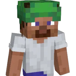 Turtupl