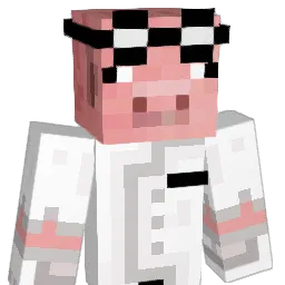 Tweety_1129 Minecraft avatar bust
