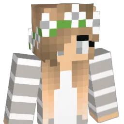 TwinDuo247 Minecraft avatar bust