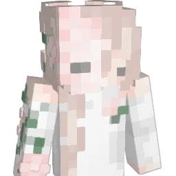 TwinkleKarp Minecraft avatar bust