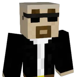 TwinkleToez6933 Minecraft avatar bust