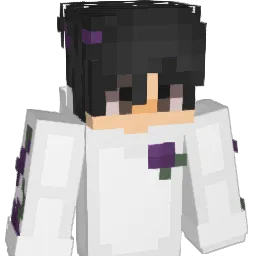 Twixy_ Minecraft avatar bust
