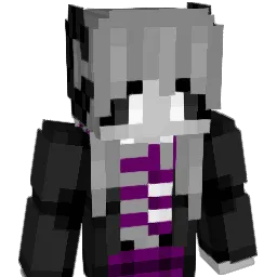 TwoTinyProblems Minecraft avatar bust