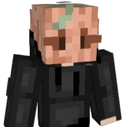TwstdPatch Minecraft avatar bust