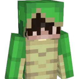 Tx_QvQ Minecraft avatar bust