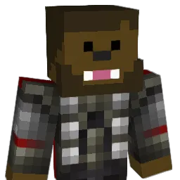 Ty13rocks Minecraft avatar bust