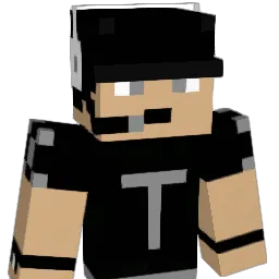 Ty22222N Minecraft avatar bust