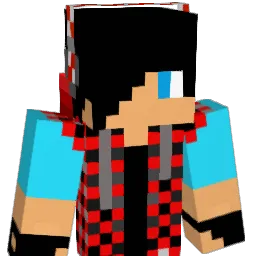 Ty3009 Minecraft avatar bust