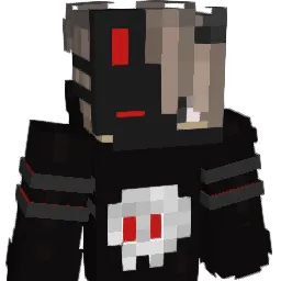Ty_Skills Minecraft avatar bust