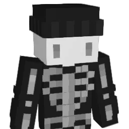 TylenoI Minecraft avatar bust