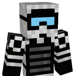 Tymek2801 Minecraft avatar bust