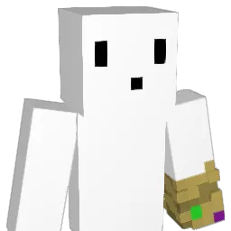 Tymon_202 Minecraft avatar bust