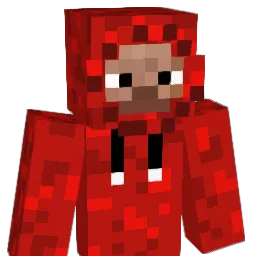 Tywwer