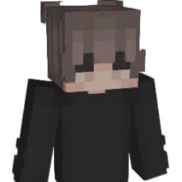 UA_szk Minecraft avatar bust