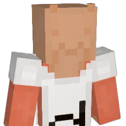 UDINBOMMI Minecraft avatar bust