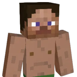 UNKNOWN868686 Minecraft avatar bust