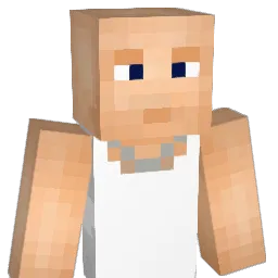 USFabi Minecraft avatar bust