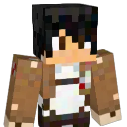 USMEEDA's Minecraft skin
