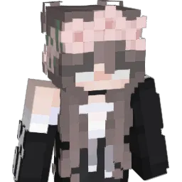 U_9B Minecraft avatar bust