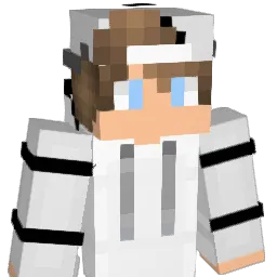 UnbakedSt3f4n Minecraft avatar bust