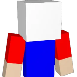 Uncertian Minecraft avatar bust