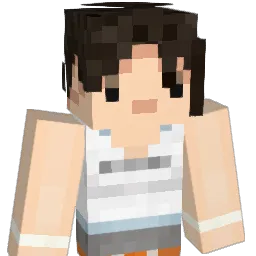 Union8_3347 Minecraft avatar bust
