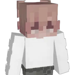 UnitNorth Minecraft avatar bust