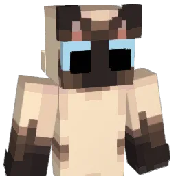 Unknown3451 Minecraft avatar bust