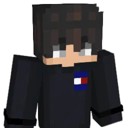 Unsympatischer Minecraft avatar bust