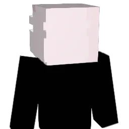 UsaWima Minecraft avatar bust