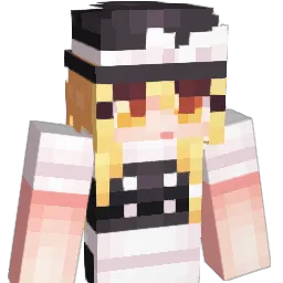 UseMaps Minecraft avatar bust