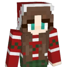 Usernine9 Minecraft avatar bust