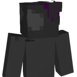V0IDBORN3 Minecraft avatar bust