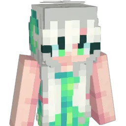 V0idWanderer Minecraft avatar bust