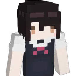 V1Zinix